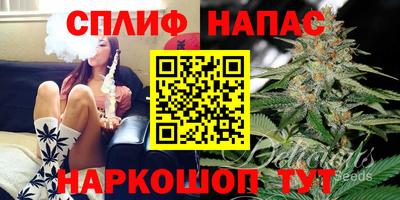 бошки Тверь